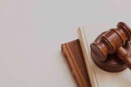 Guía para la Defensa de los Derechos Fundamentales